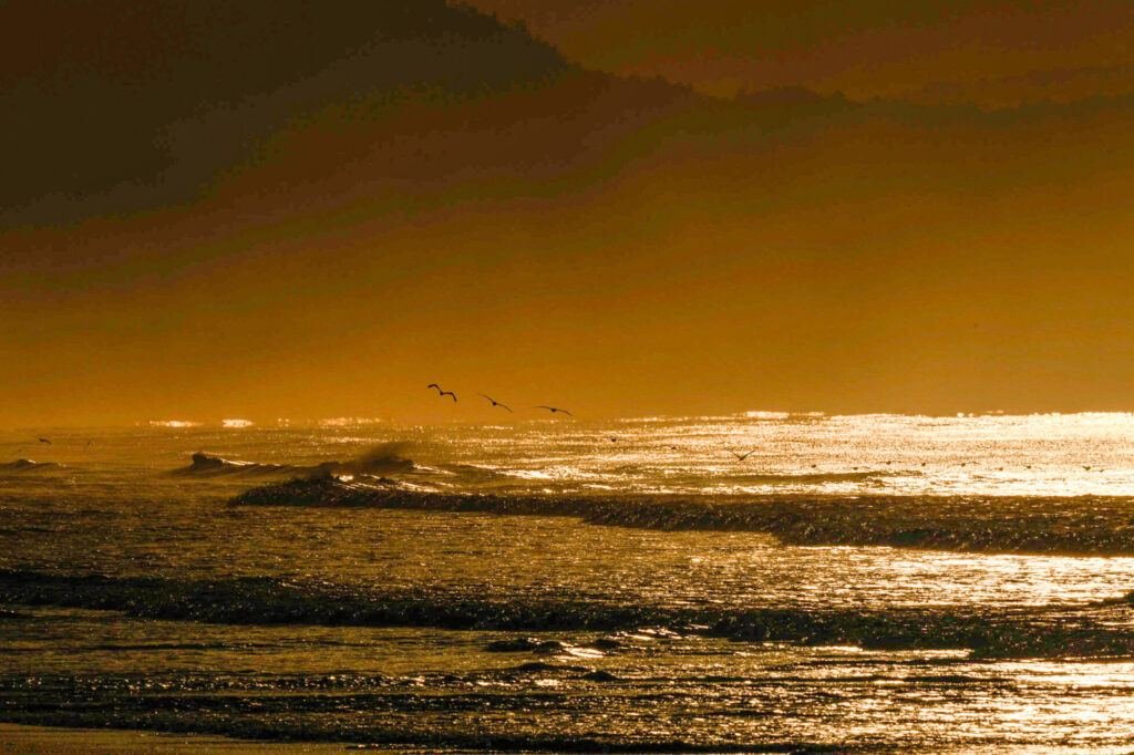 Coucher de soleil sur la mer avec des oiseaux