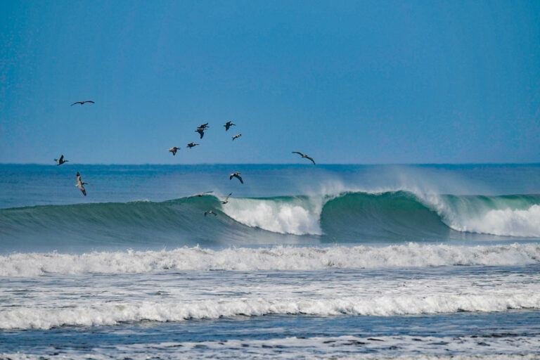 La région — Beso del Viento